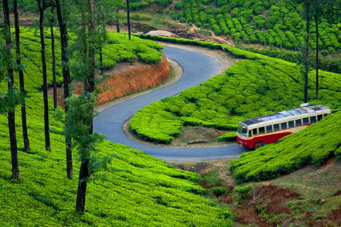 Kochi : Trek dans la forêt de Munnar et vue sur le pic Anamudi - Circuit de 3 joursKochi : randonnée dans la forêt de Munnar et vue sur le pic Anamudi, circuit de 3 jours