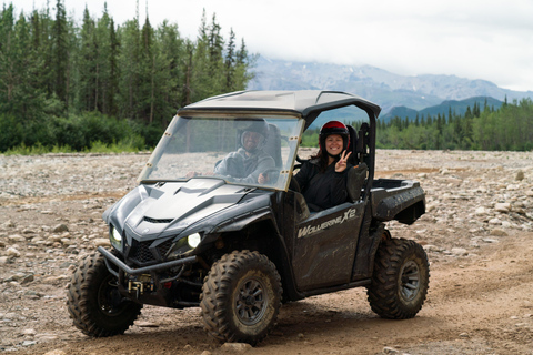 Denali ATV Wilderness Adventure - Guided ATV Tour Enclosed Side by Side ATV - 2 passengers