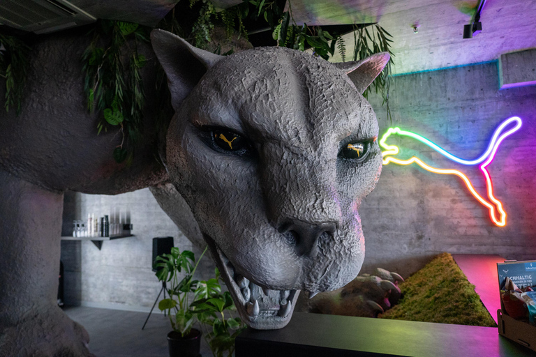 Hamburg: After work Millerntor stadium tour with drinks