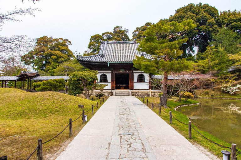 Tokio: tour turístico privado de día completo con conductor de habla inglesa