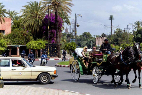Marraquexe: Passeio de uma hora em carruagem tradicional puxada por cavalos