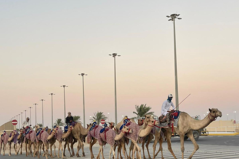 西海岸私人之旅：理查德·塞拉和沙漠奇观