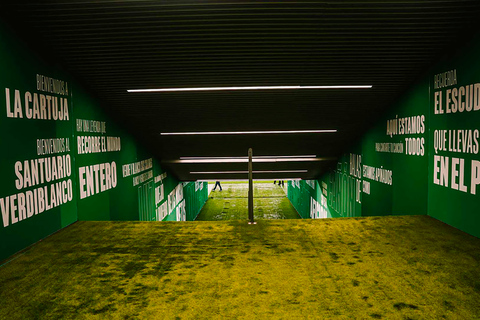 Seville: Real Betis Tour at the La Cartuja Stadium