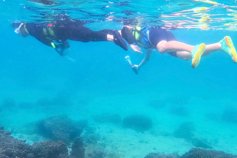 Hong Kong Geopark: Volcano Sightseeing & Hidden Coral Snorkeling Experience (Private) Volcano Sightseeing & Snorkelling Experience