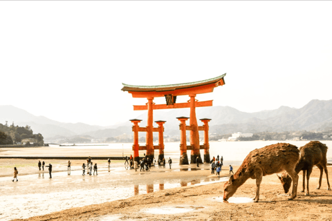 Tour di Hiroshima e Miyajima con guida in lingua inglese