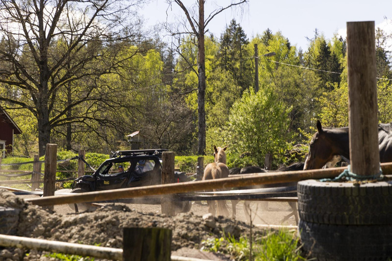 赫尔辛基：驯鹿公园与马厩私人游赫尔辛基：驯鹿公园与马厩私人导览游