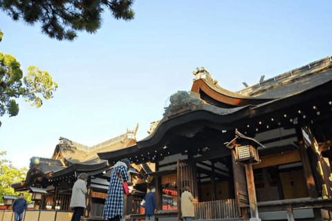 Osaka: Tour particular personalizável com motorista que fala inglês