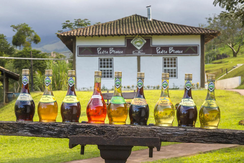 Aventure en Jeep à Paraty : sentier écologique, distillerie et baignade dans la rivièreAventure en Jeep à Paraty : parcours écologique, distillerie et baignade dans la rivièr