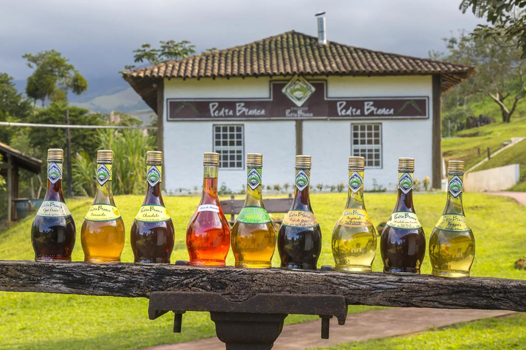 Aventure en Jeep à Paraty : sentier écologique, distillerie et baignade dans la rivièreAventure en Jeep à Paraty : parcours écologique, distillerie et baignade dans la rivièr
