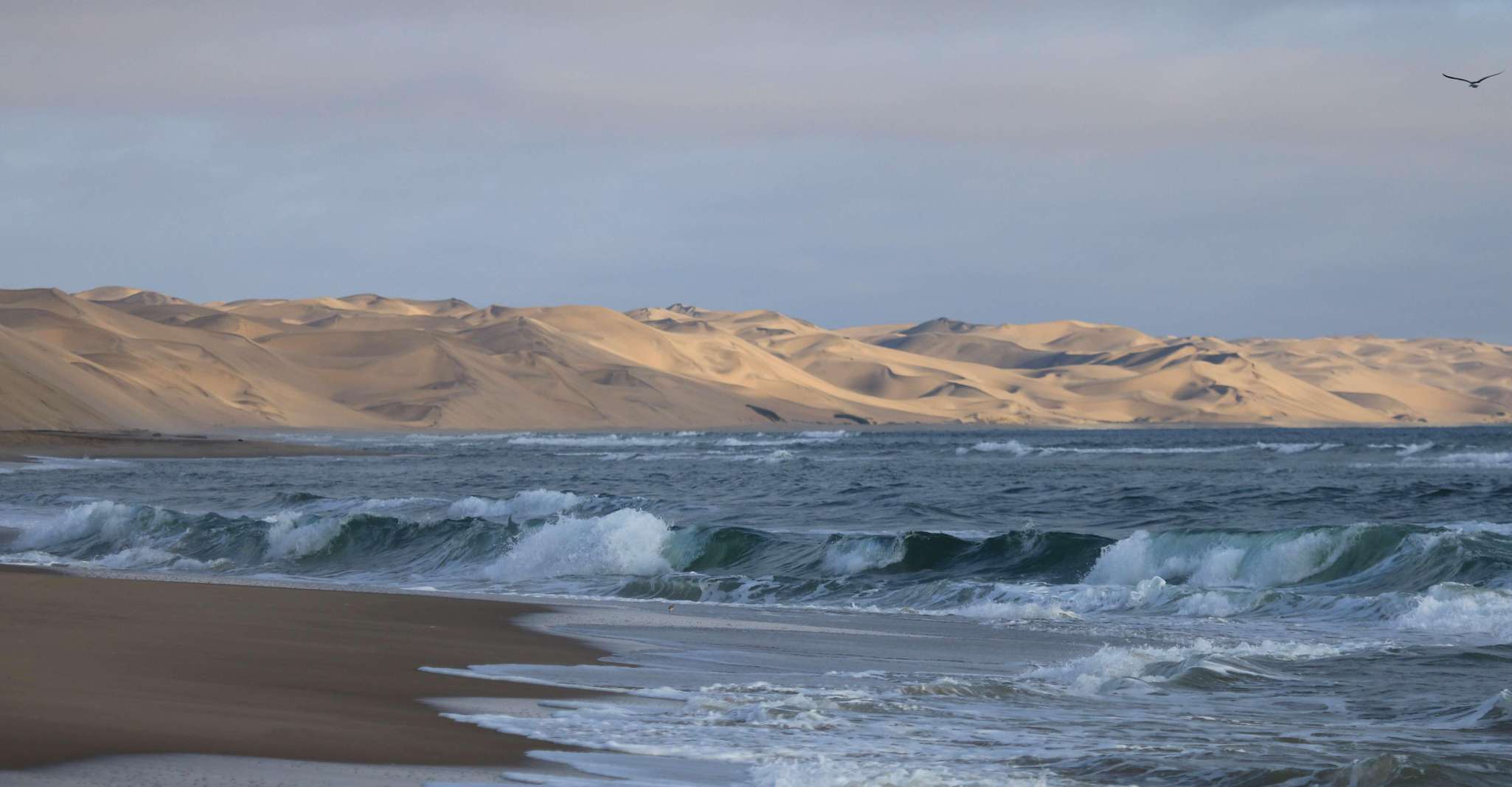 From Walvis Bay, Sandwich Harbour World Heritage Site - Housity