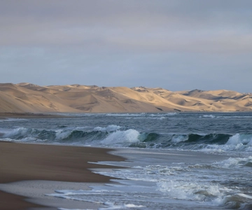 From Walvis Bay: Sandwich Harbour World Heritage Site