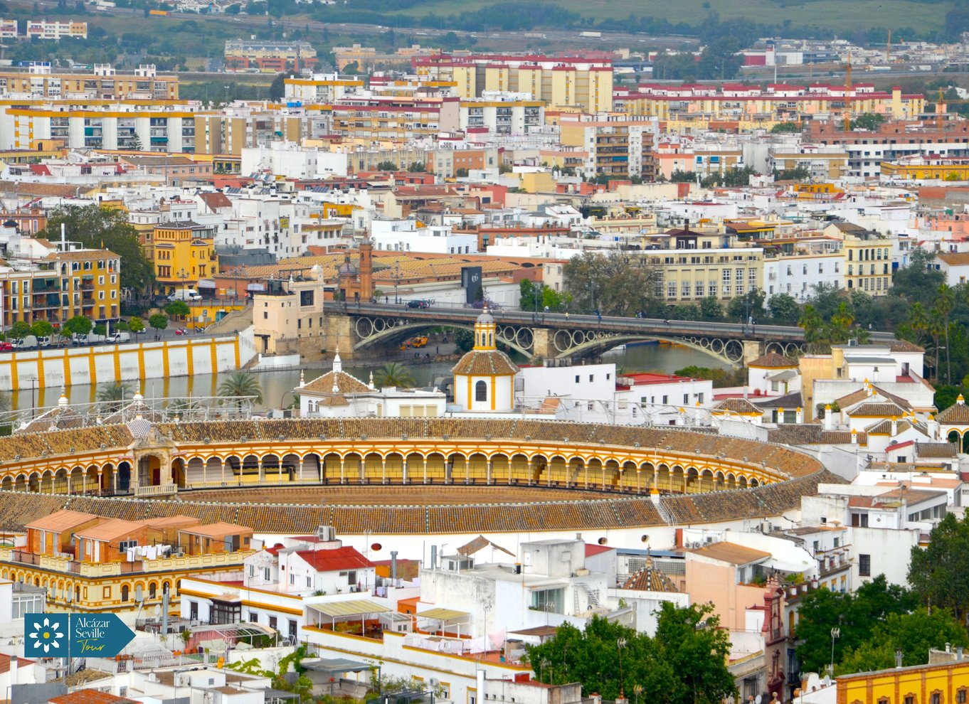 Sevilla: Katedralen, Giralda og Royal Alcázar guidet tur