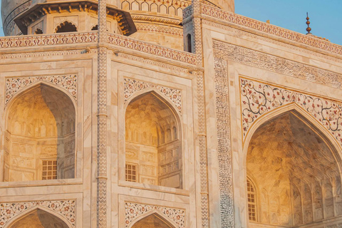 Desde Delhi: Excursión privada de un día al Taj Mahal y al Elefante SOSTour privado con ticket de entrada y almuerzo buffet