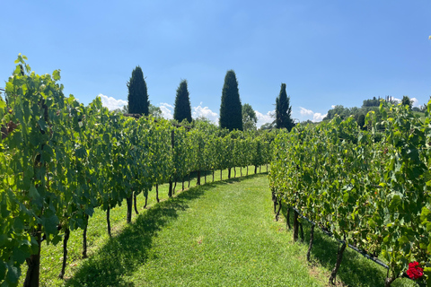 Florence: Pisa, Siena, & San Gimignano Day Trip with Lunch VIP SMALL GROUP