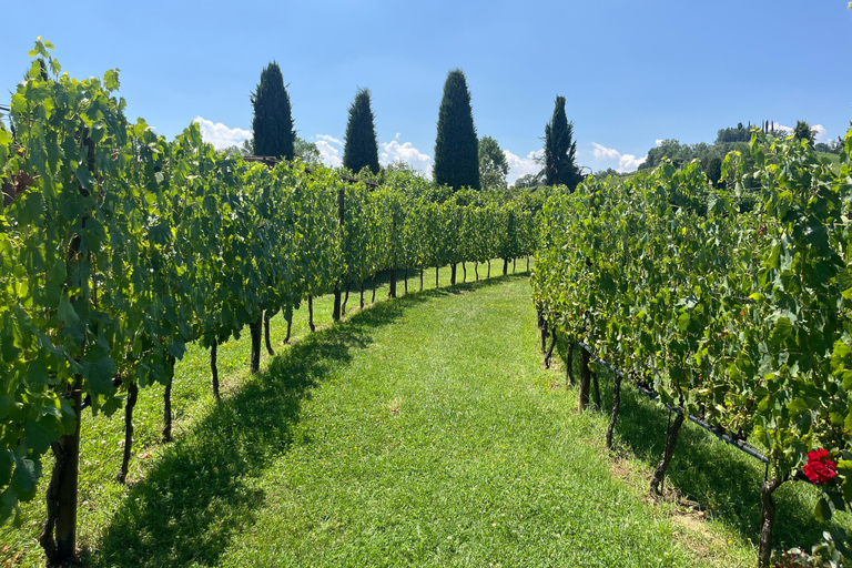 Florence: Pisa, Siena, & San Gimignano Day Trip with Lunch VIP SMALL GROUP