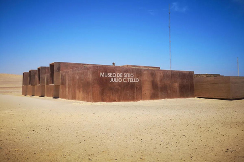 From Lima: Paracas Reserve & Nazca Lines Flight from Pisco
