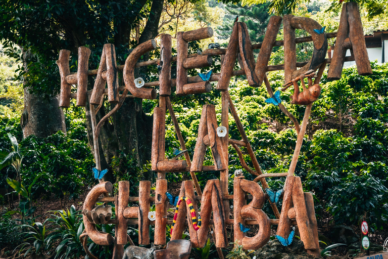 San José: Hacienda La Chimba Coffee Experience Tour