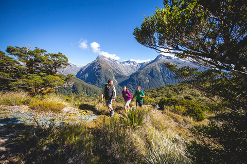 From Te Anau: Milford Sound Cruise & Key Summit Hike