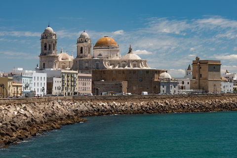 Cádiz: Bay, City & Food Tour with up to 33% off Drinks