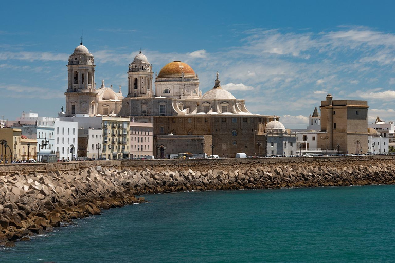 Cádiz: Bay, City & Food Tour with up to 33% off Drinks