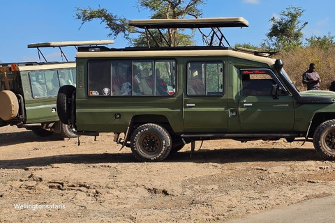 5 Hours Nairobi National Park Game Drive Tour in 4x4 Vehicle Private Guided Tour 4x4 Van