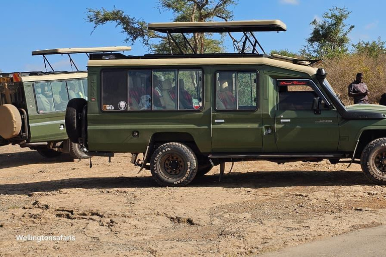 5 Hours Nairobi National Park Game Drive Tour in 4x4 Vehicle Private Guided Tour 4x4 Van