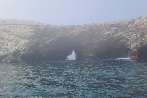 GRUPA PEŁEN DZIEŃ Paracas (Ballestas) + Ica + Huacachina (Oaza)