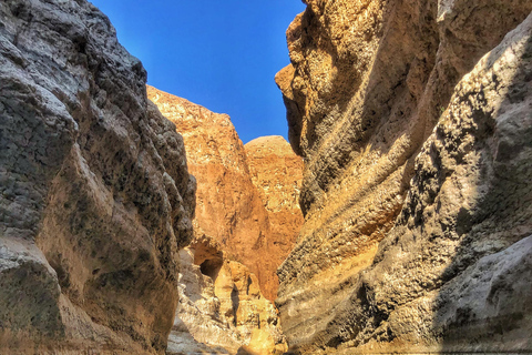 Da Muscat: tour di 5 giorni della città, degli uadi e del desertoCittà, wadi e deserto