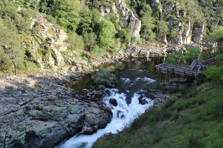 From Porto: Guided tour of the 516 Arouca Suspension Bridge and Paiva Walkways From Porto: Guided Tour of the 516 Arouca Suspension Bridge and Paiva Walkways