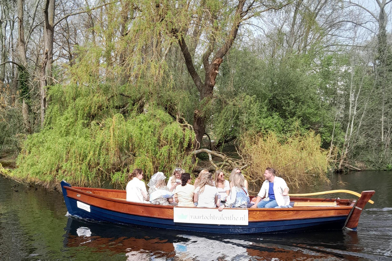 The Hague: individual tickets for an electric boattour!