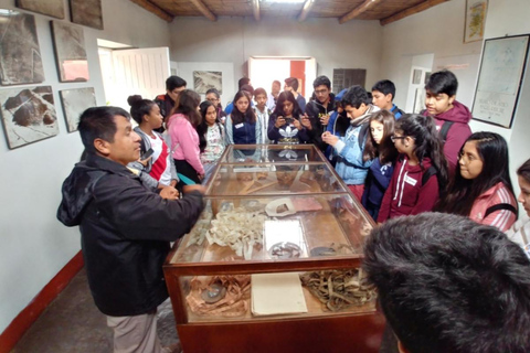 De Ica: Voo das Linhas de Nazca e visita ao Museu Maria Reiche