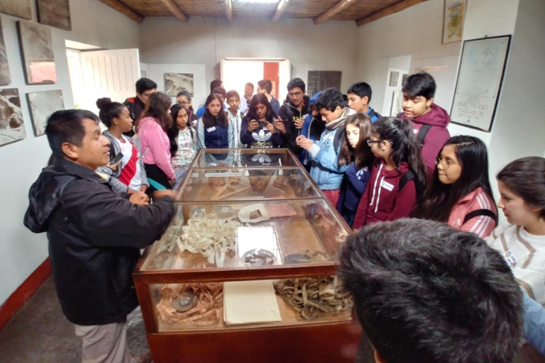 De Ica: Voo das Linhas de Nazca e visita ao Museu Maria Reiche