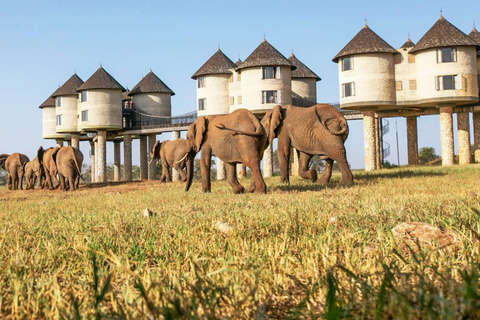 2 dagen Tsavo East en saltlick safari vanuit Diani/Mombasa