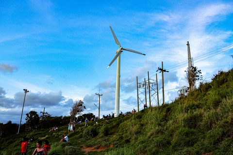 Phuket: Dagvullende tour met Phuket stad, tempels en apen