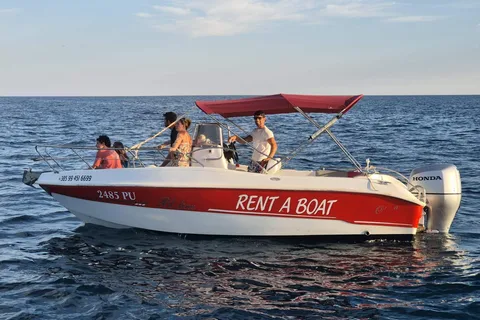 From Fazana Dolphin watching at sunset from a speedboat