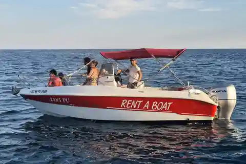Depuis Fazana Observation des dauphins au coucher du soleil depuis un bateau rapide