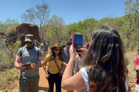 Johannesburg: Olifant, paardrijden en leeuwensafari