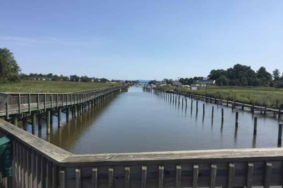 Chesapeake Beach: Geführter Rundgang auf dem Railway Trail. Foto: GetYourGuide Chesapeake Beach: Geführter Rundgang auf dem Railway Trail. Foto: GetYourGuide