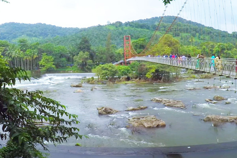 Athirappilly Waterfalls from Cochin – One Day Tour