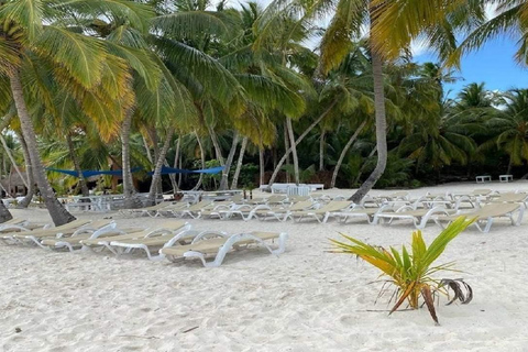 Punta Cana: Saona Island Day Trip with Lunch & Drinks