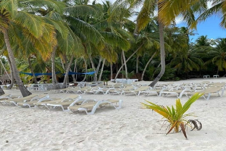 Punta Cana: Saona Island Day Trip with Lunch & Drinks