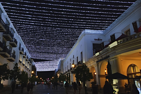 Tour of La Aurora Zoo, Historic Center, and Ciudad Cayalá in Guatemala