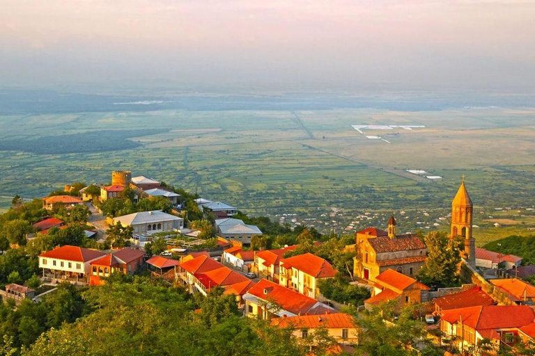 From Tbilisi: Kakheti Region Tour with 7 Wine Tastings