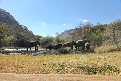 From Maputo to the Wild: Half-Day Kruger Safari