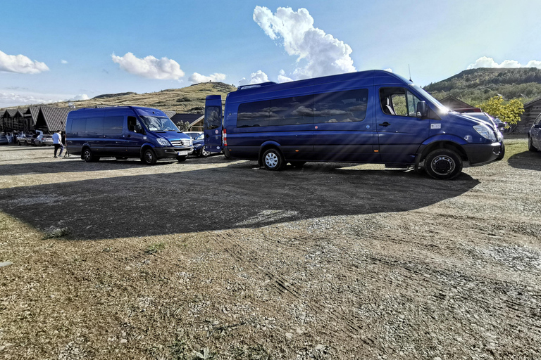 Trasferimento da Craiova a Bucarest o all'aeroporto di Bucarest