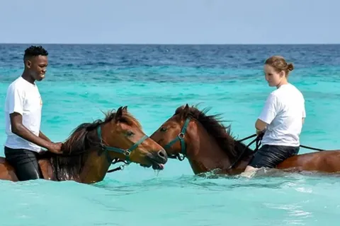 Zanzibar: Ridning på stranden och simma med hästen