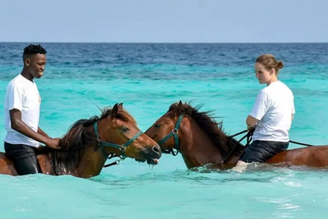 Randonnée à cheval sur la plage de Zanzibar