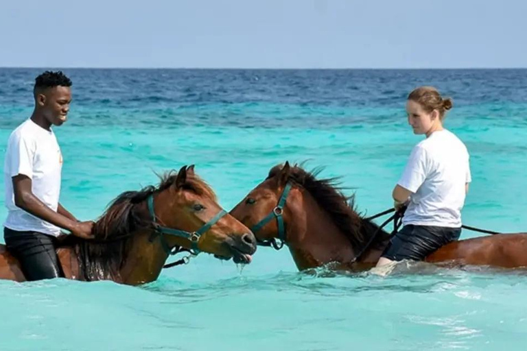 Zanzibar: passeggiata a cavallo sulla spiaggia e bagno con il cavallo