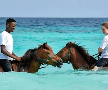Zanzibar Horseback Riding