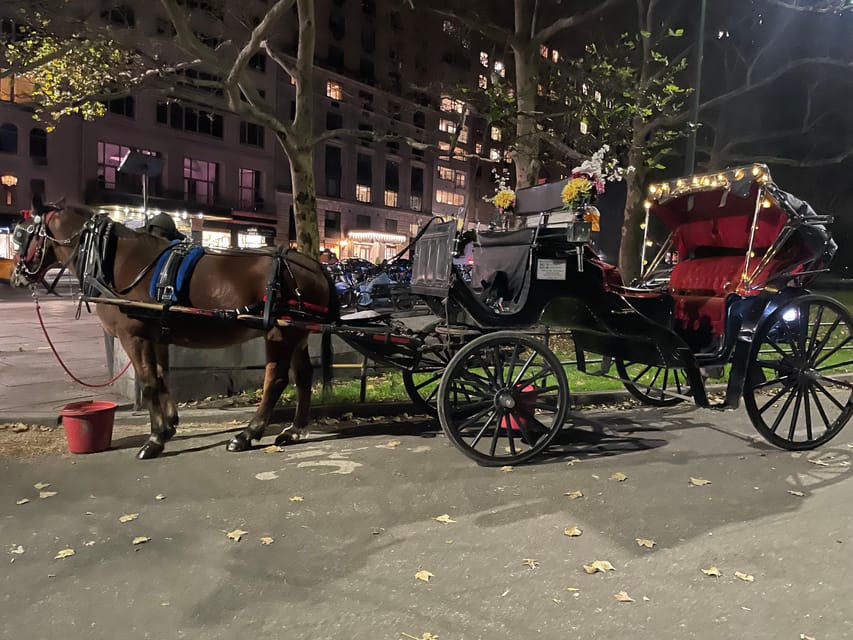 New York: Central Park Horse and Carriage Ride Guided Tour | GetYourGuide